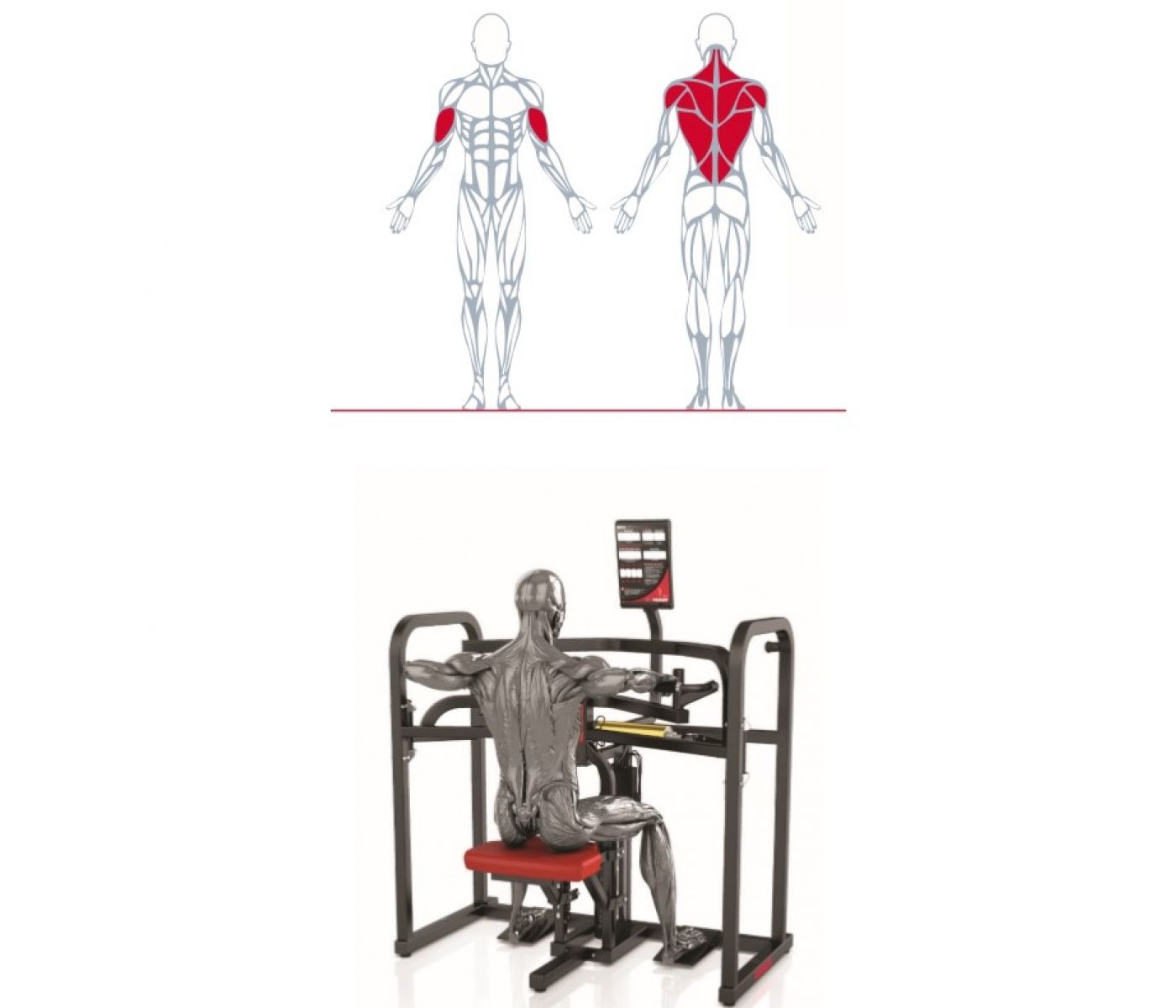 Keiser Keiser A350 Biaxial Upper Back | Træningspartner